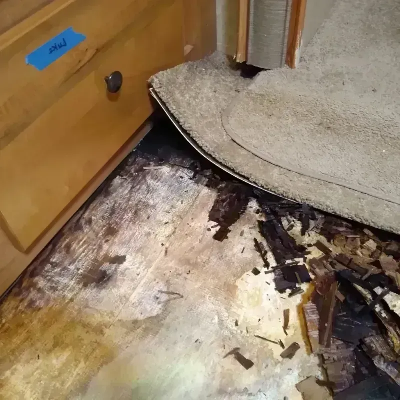 Wood Floor Water Damage in Isabella County, MI